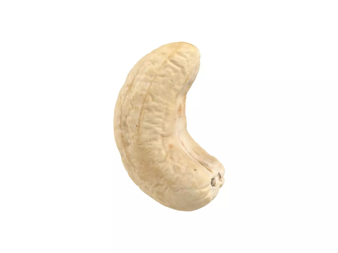 Photorealistic Cashew Nut 3D Scan 3D model_0
