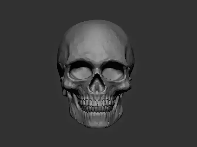 Skull 3D print model