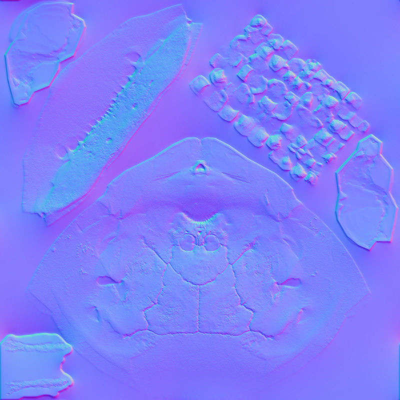 Skull Realistic Male Anatomy 3D model_17