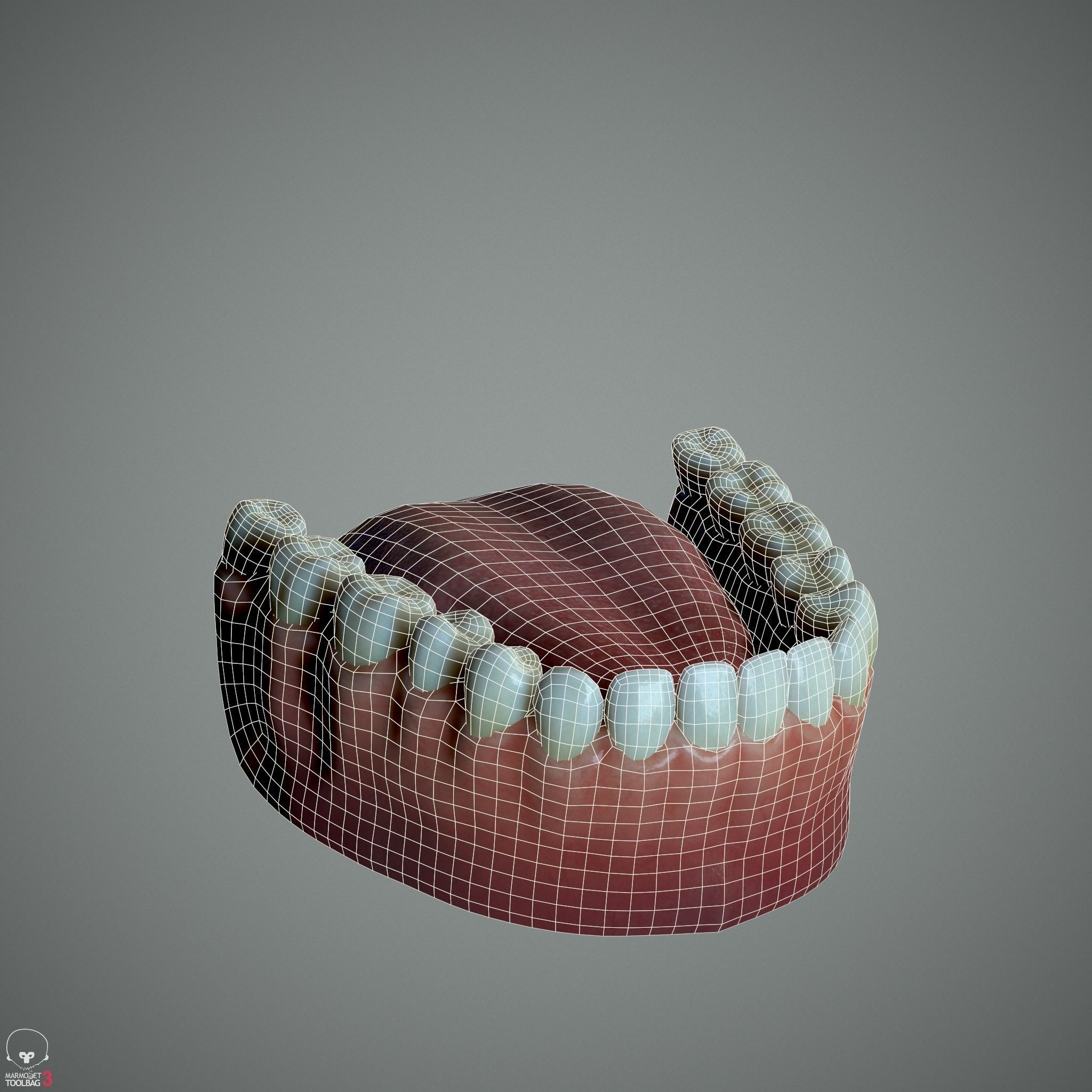 Female Head - Ana - Gen2  3D model_35