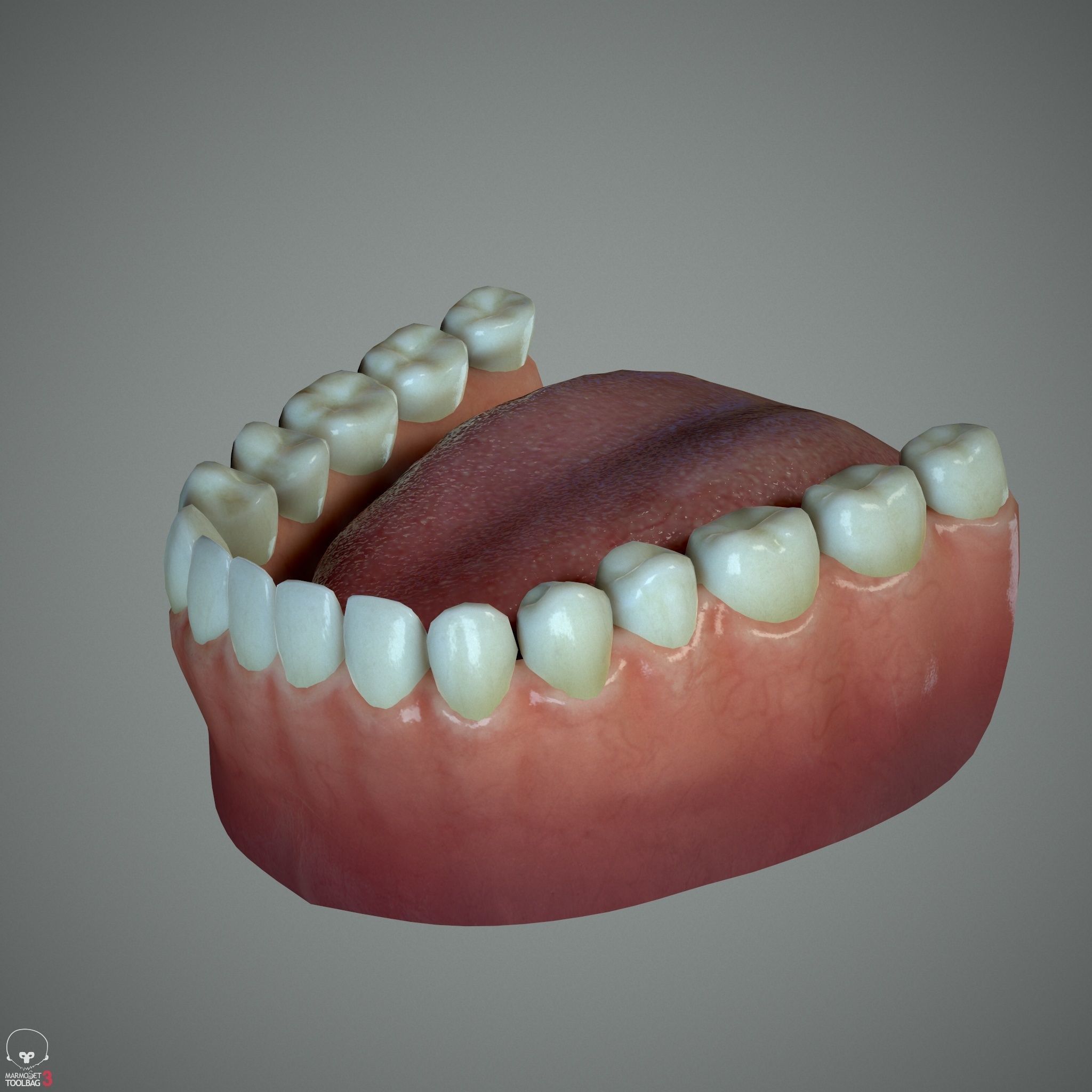 Female Head - Ana - Gen2  3D model_31