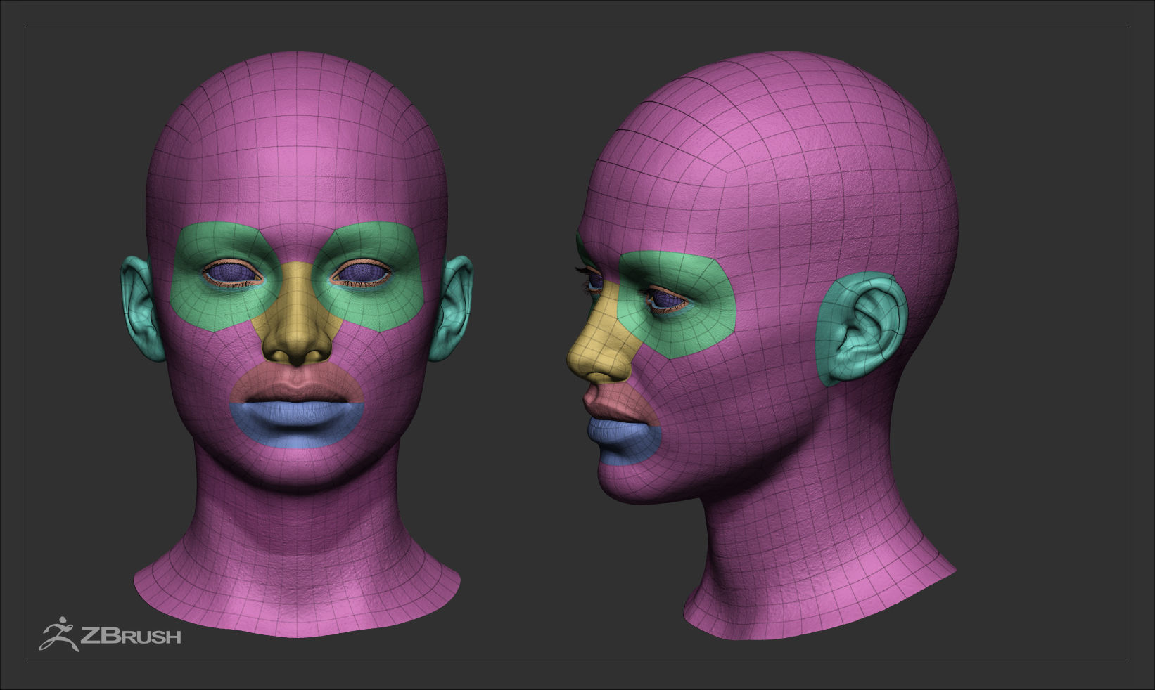 Female Head - Ana - Gen2  3D model_52