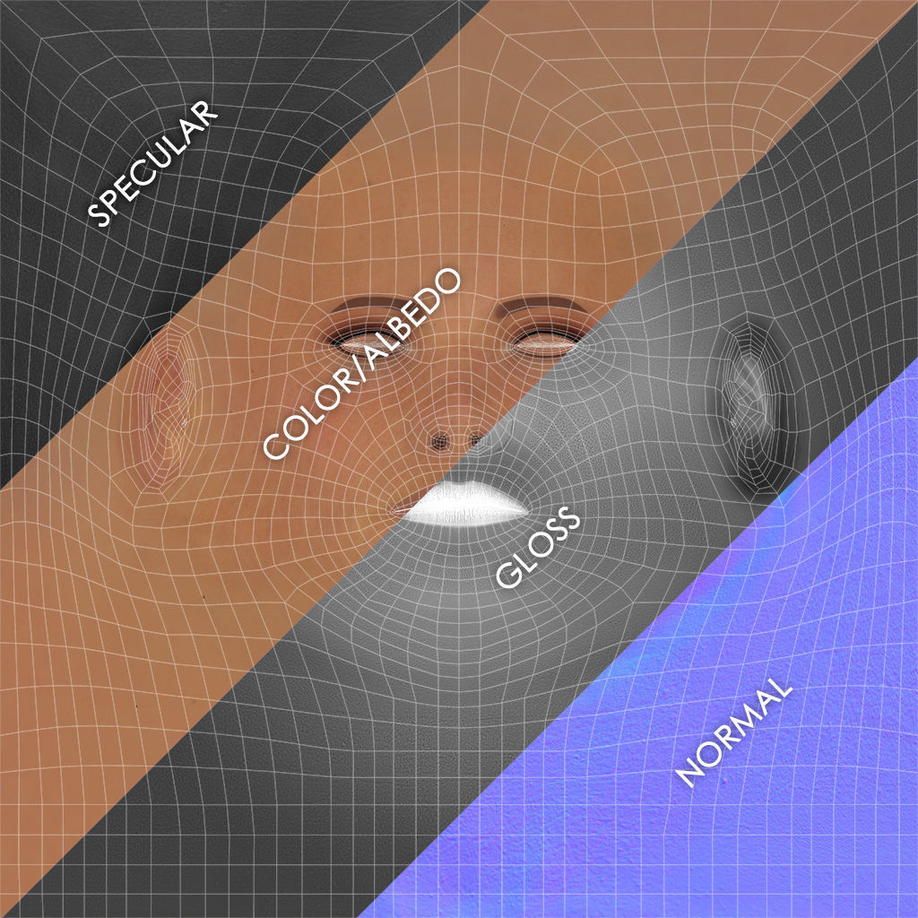 Female Head - Ana - Gen2  3D model_56