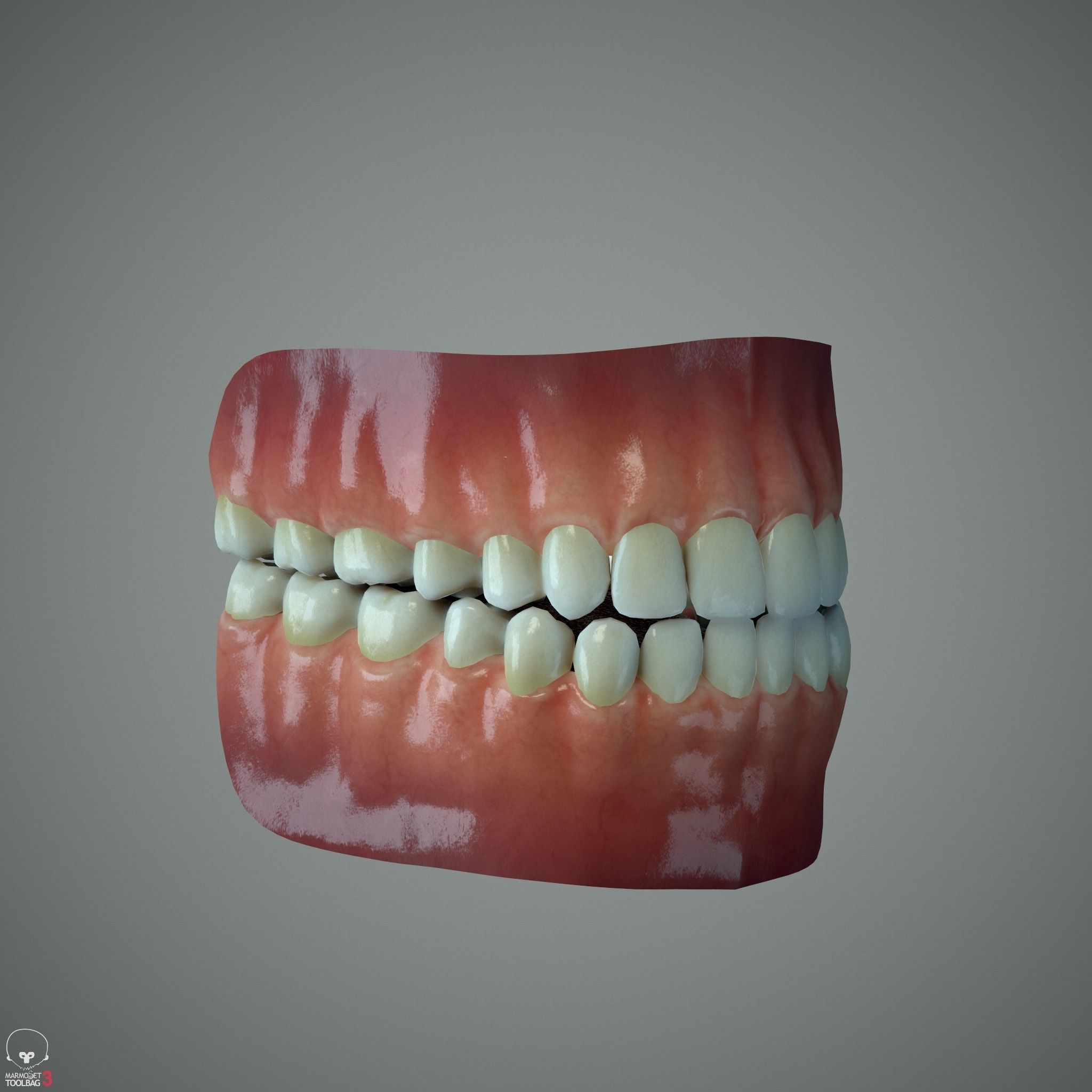 Female Head - Ana - Gen2  3D model_30