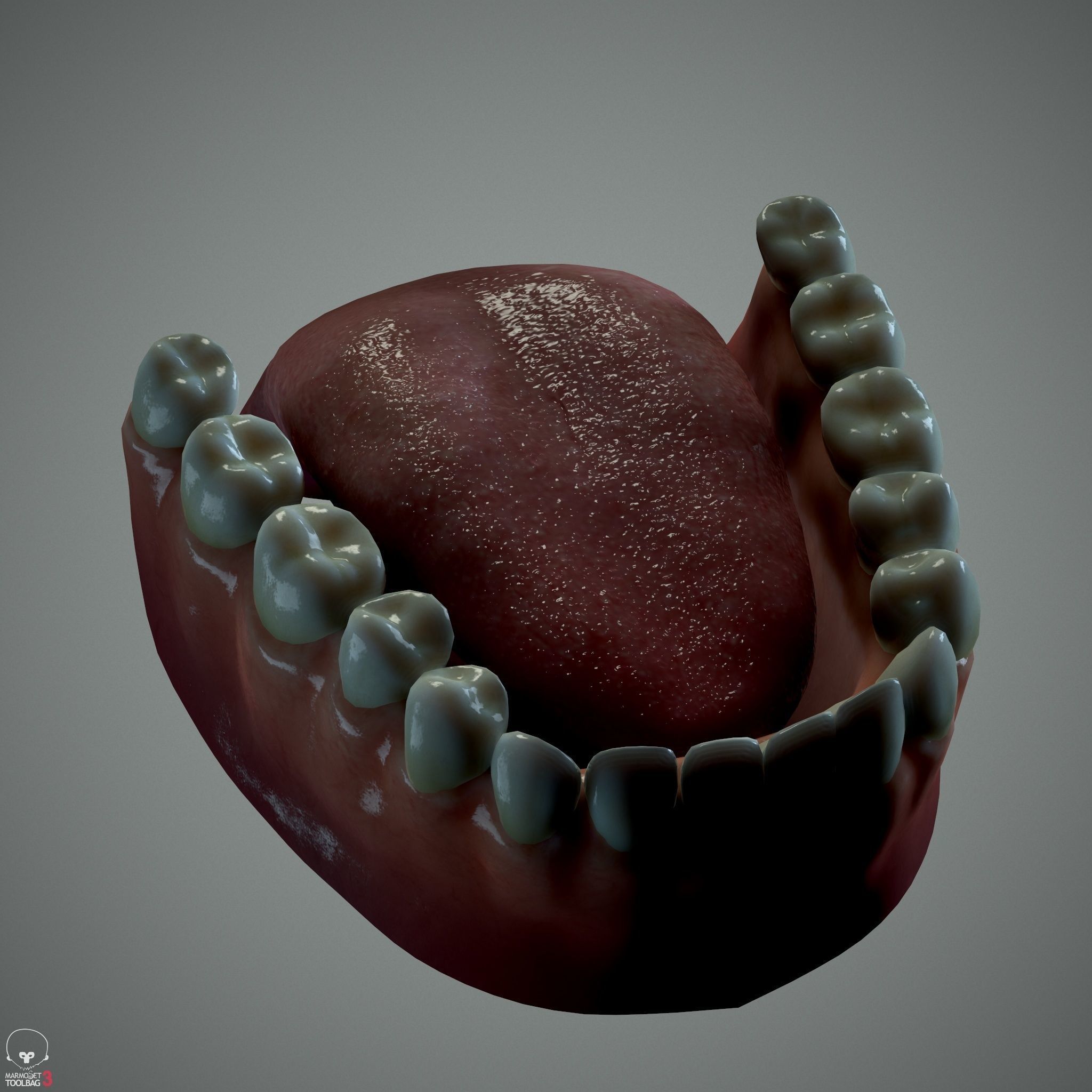 Female Head - Ana - Gen2  3D model_32