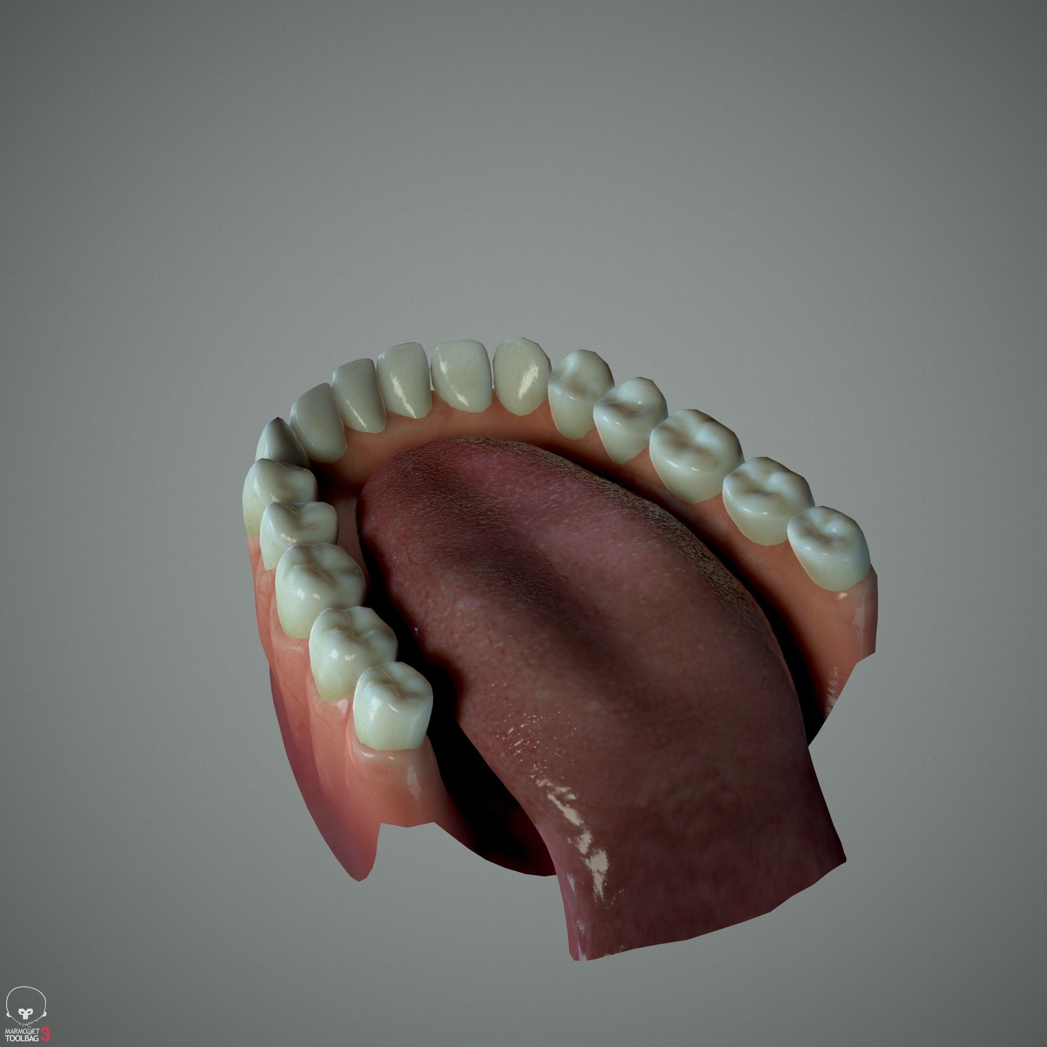 Female Head - Ana - Gen2  3D model_34