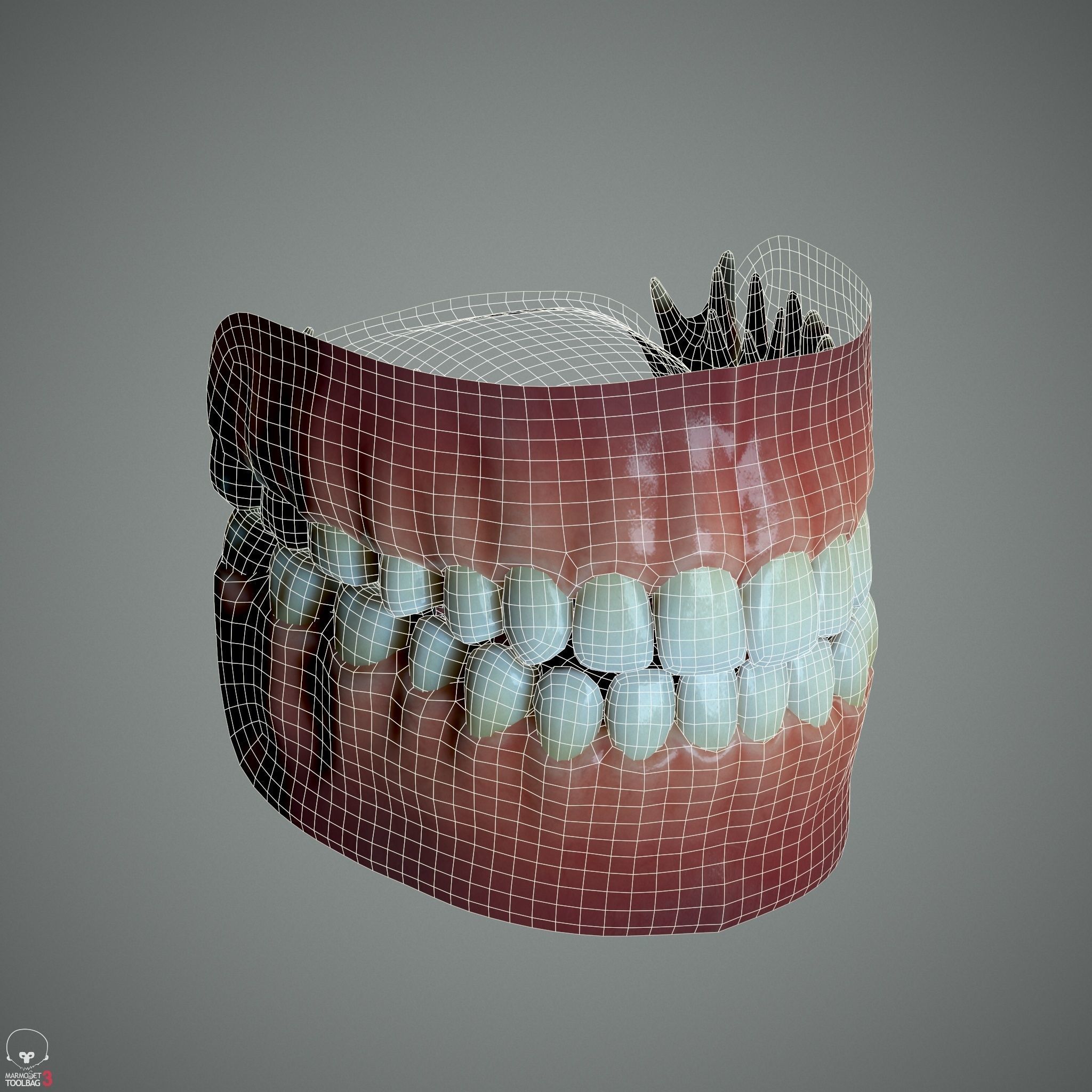 Female Head - Ana - Gen2  3D model_36