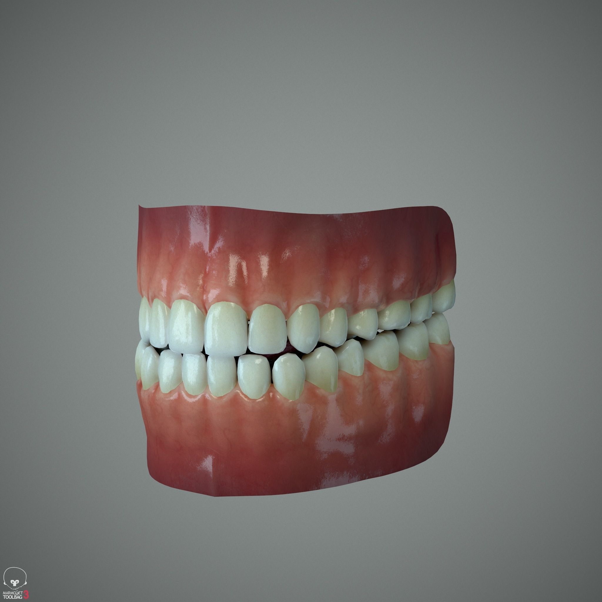 Female Head - Ana - Gen2  3D model_29