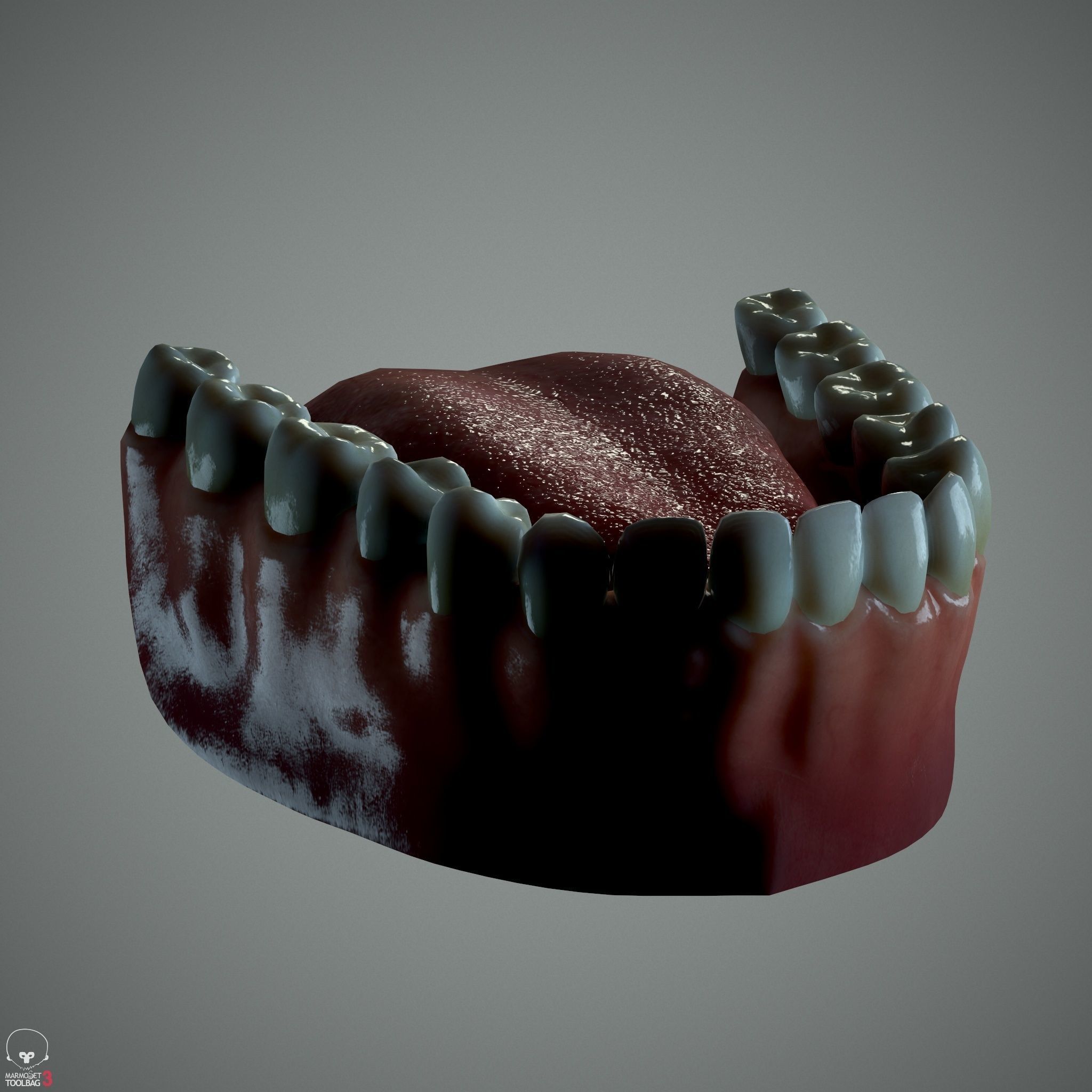 Female Head - Ana - Gen2  3D model_33