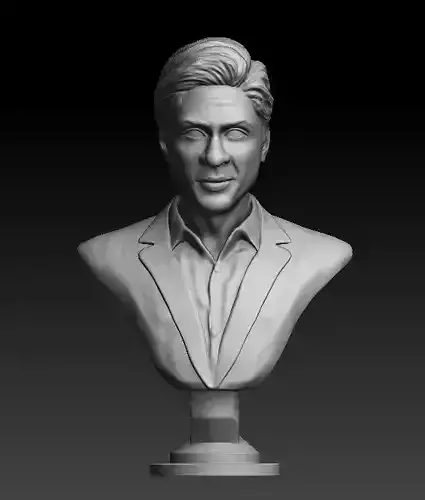 Shahrukh Khan Celebrity Actor 3D print model