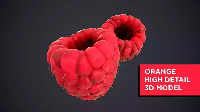 Raspberry high detail 3D model