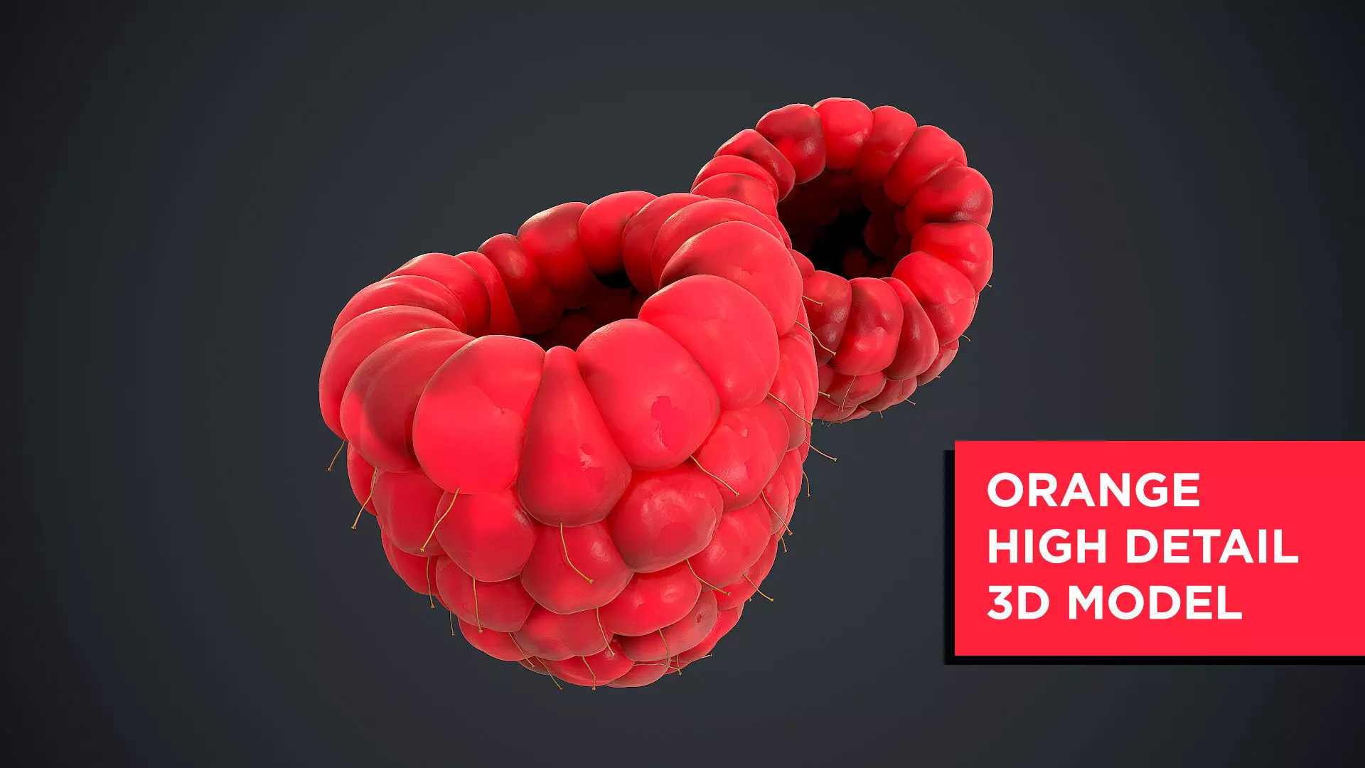 Raspberry high detail 3D model_0