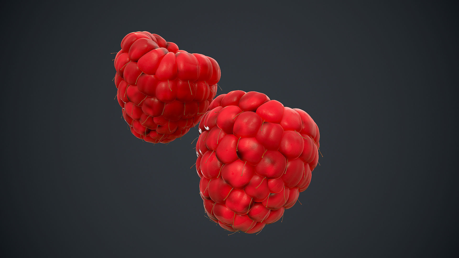 Raspberry high detail 3D model_3