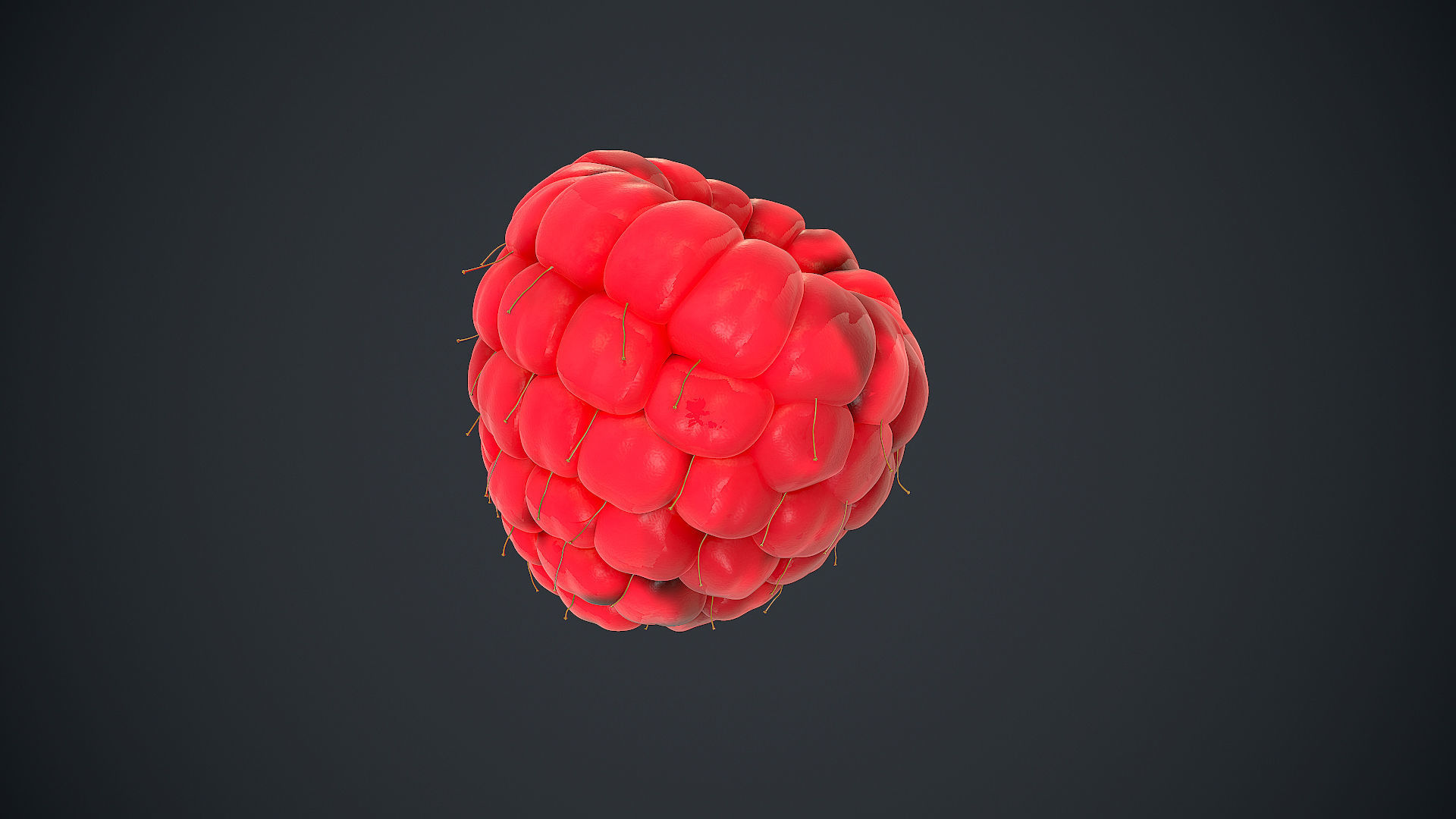 Raspberry high detail 3D model_12