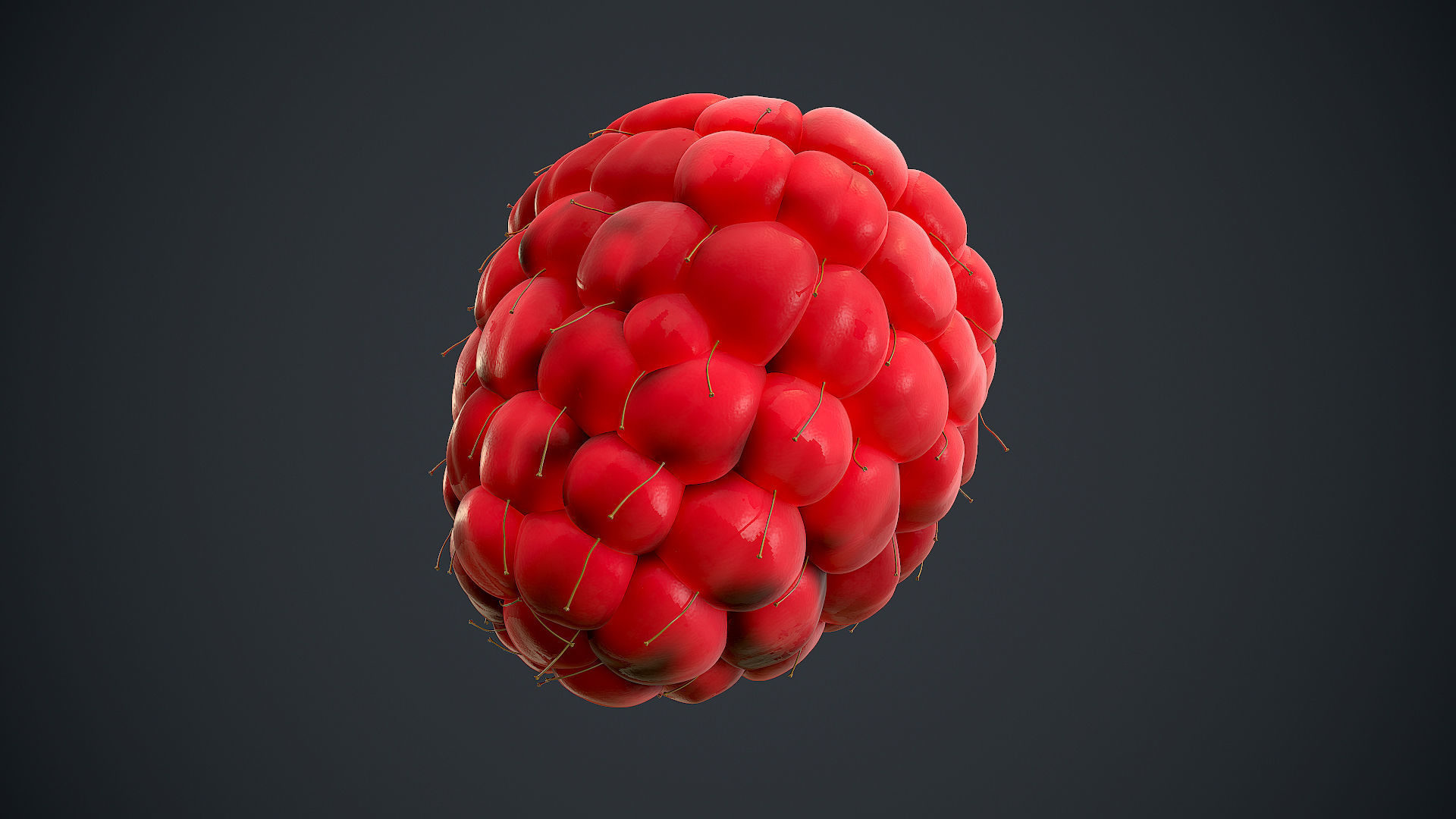 Raspberry high detail 3D model_8