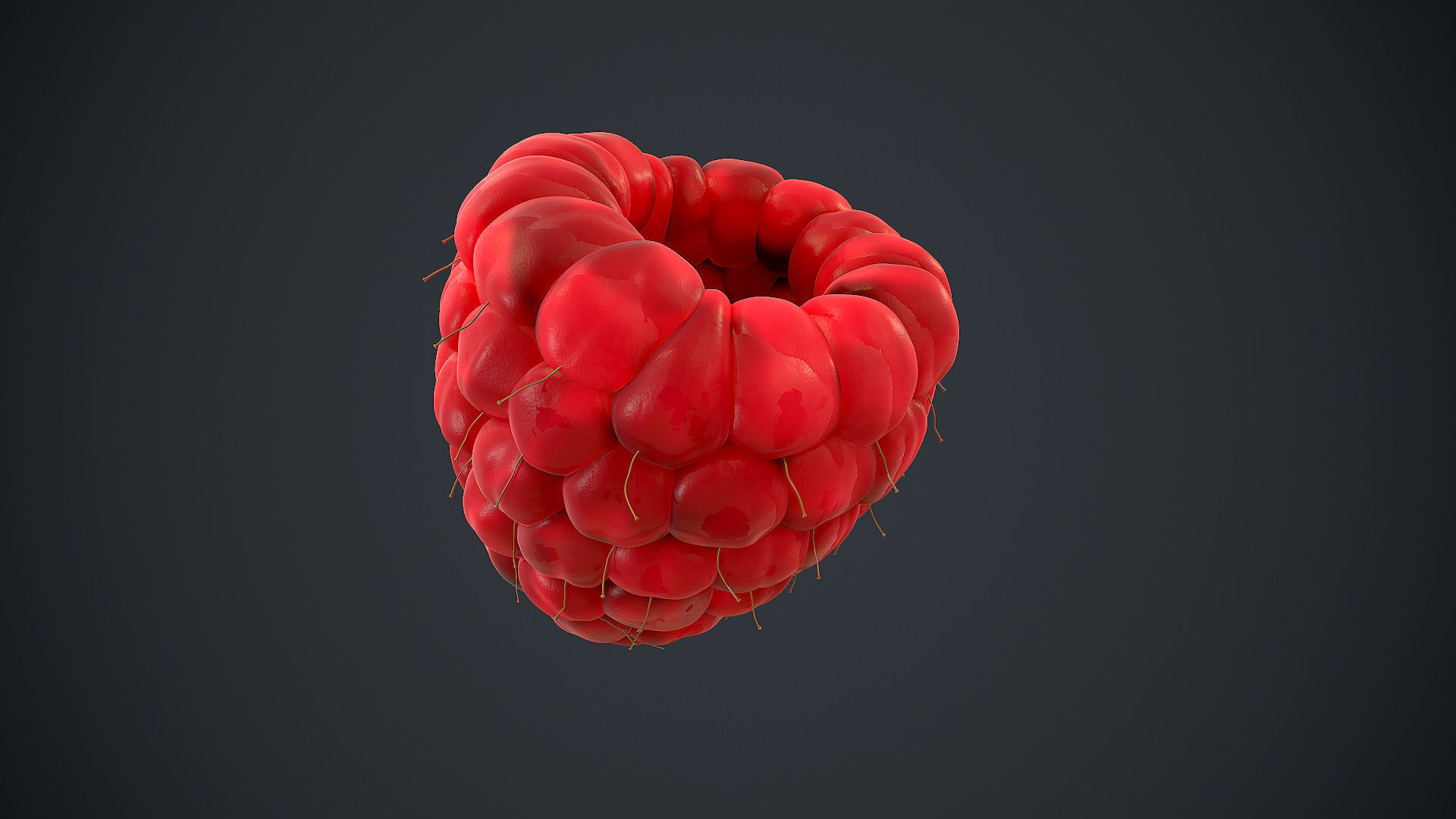 Raspberry high detail 3D model_13
