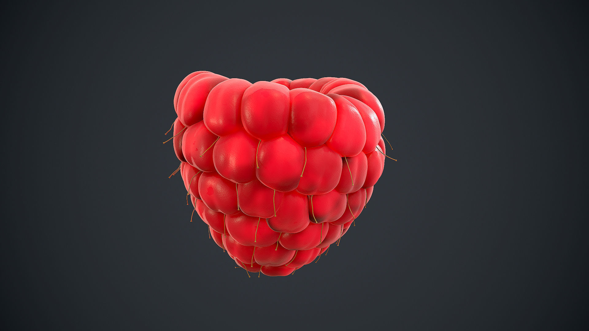 Raspberry high detail 3D model_10