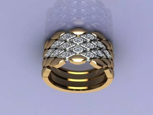VAS 21-2 in 1 RING 3D print model