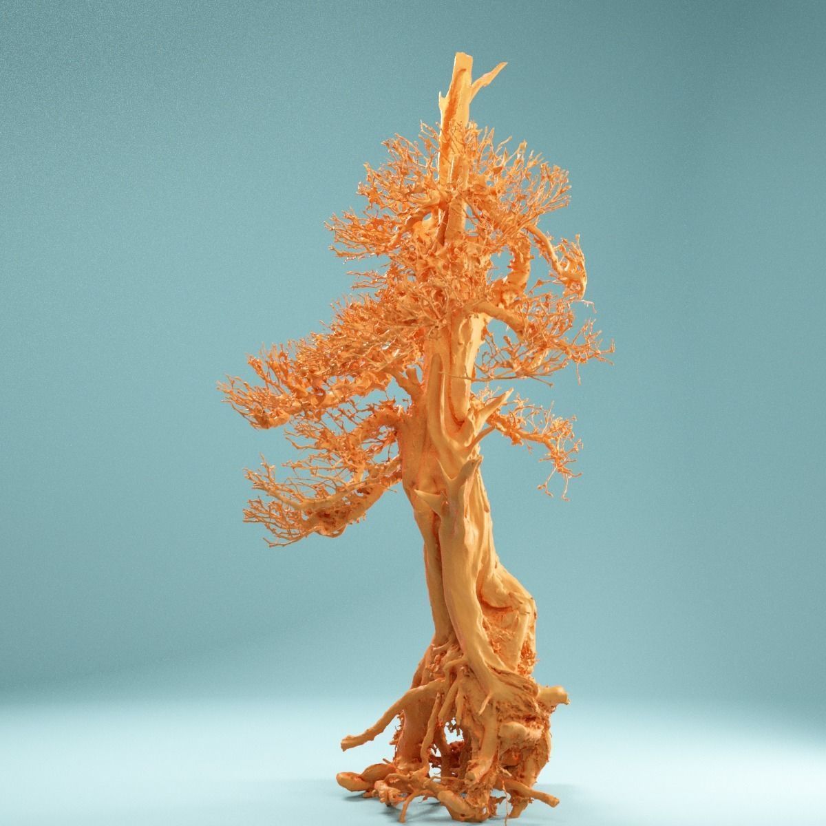 RAW SCAN Dead Bonsai Tree High Poly 05 3D model_4