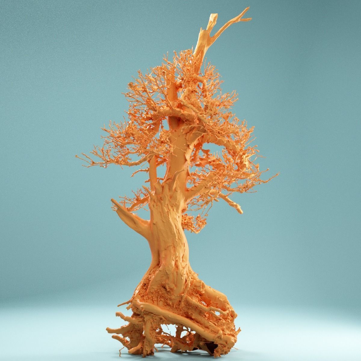 RAW SCAN Dead Bonsai Tree High Poly 05 3D model_1