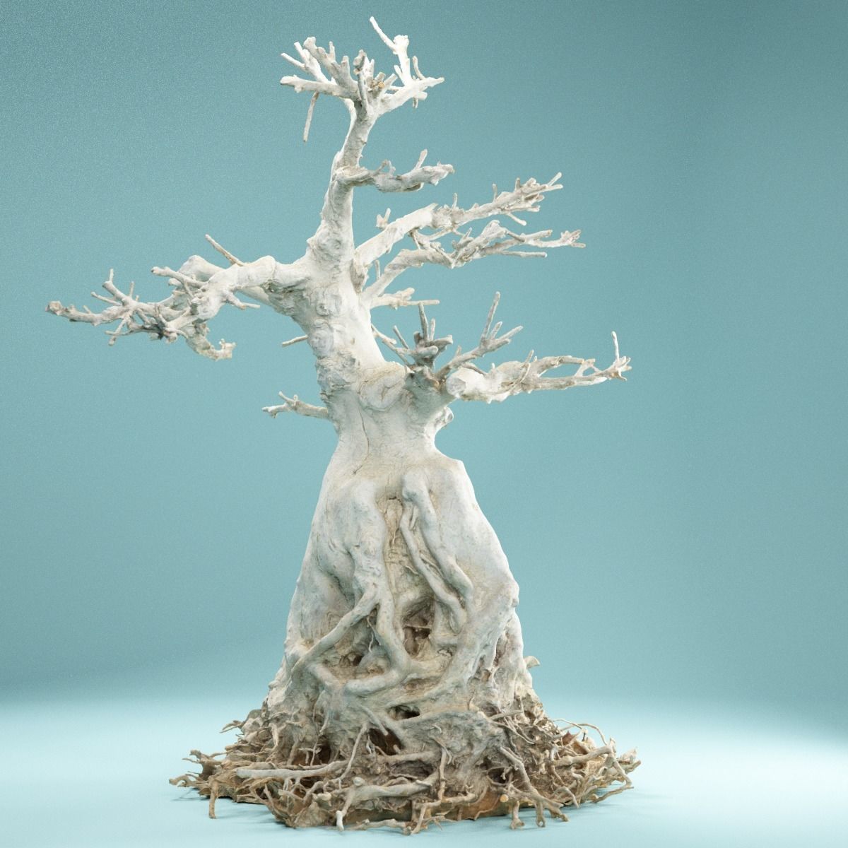 RAW SCAN Dead Bonsai Tree High Poly 07 3D model_3