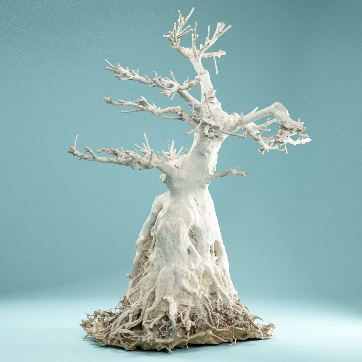 RAW SCAN Dead Bonsai Tree High Poly 07 3D model_9