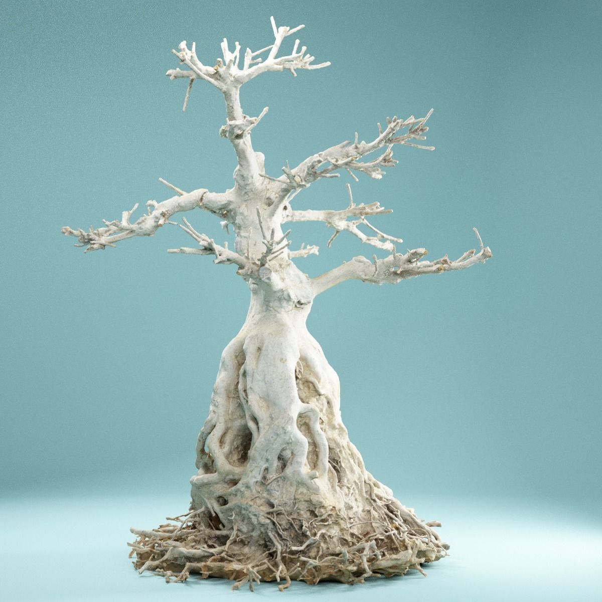 RAW SCAN Dead Bonsai Tree High Poly 07 3D model_2