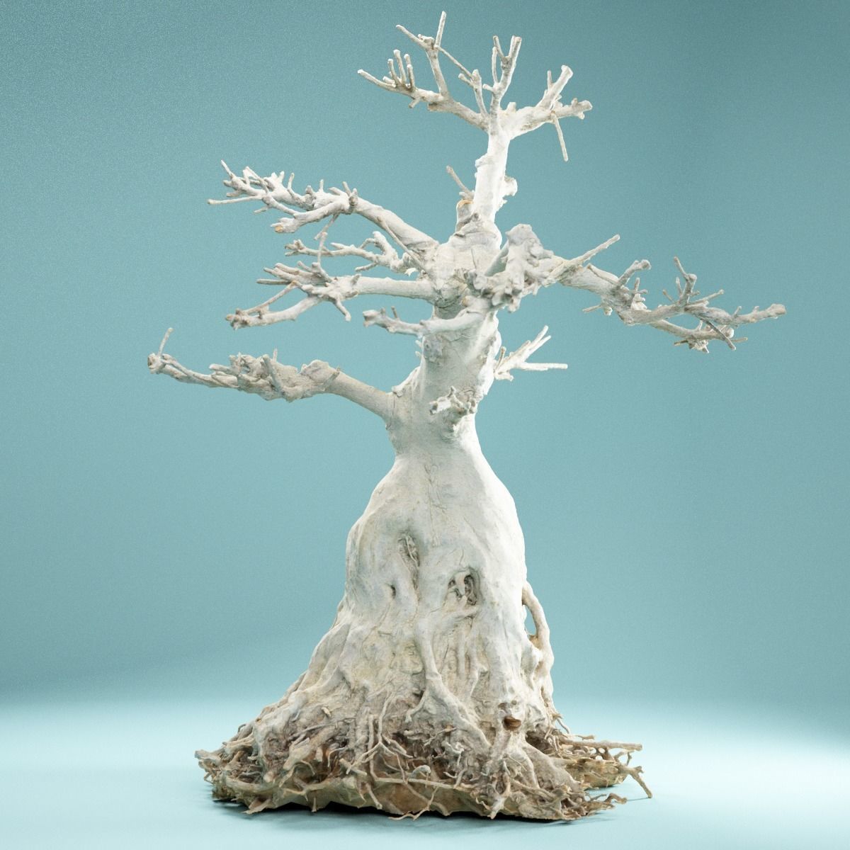 RAW SCAN Dead Bonsai Tree High Poly 07 3D model_8