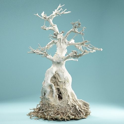 RAW SCAN Dead Bonsai Tree High Poly 07 3D model