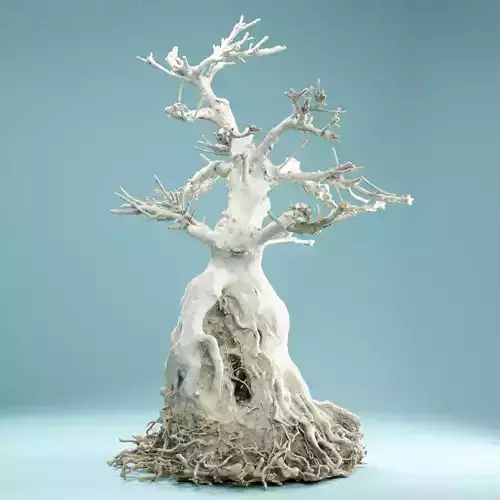 RAW SCAN Dead Bonsai Tree High Poly 07 3D model