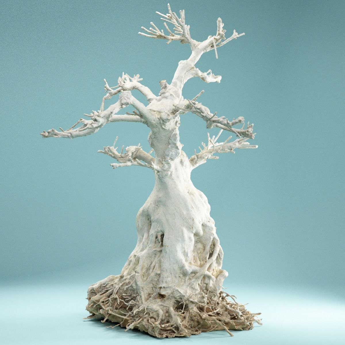 RAW SCAN Dead Bonsai Tree High Poly 07 3D model_6