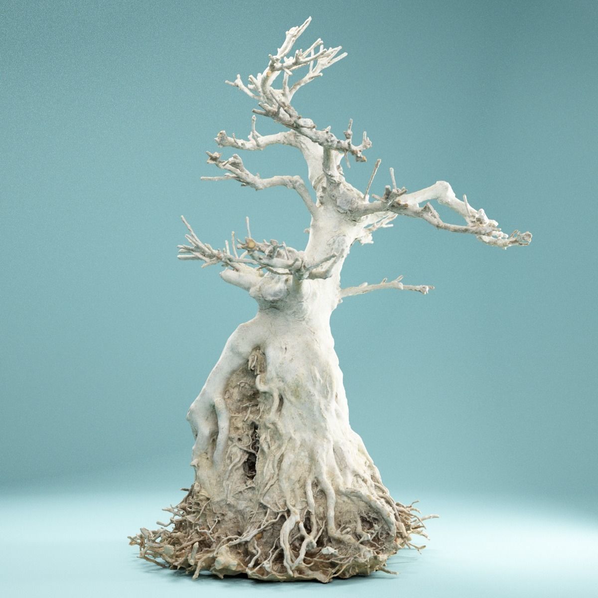 RAW SCAN Dead Bonsai Tree High Poly 07 3D model_11