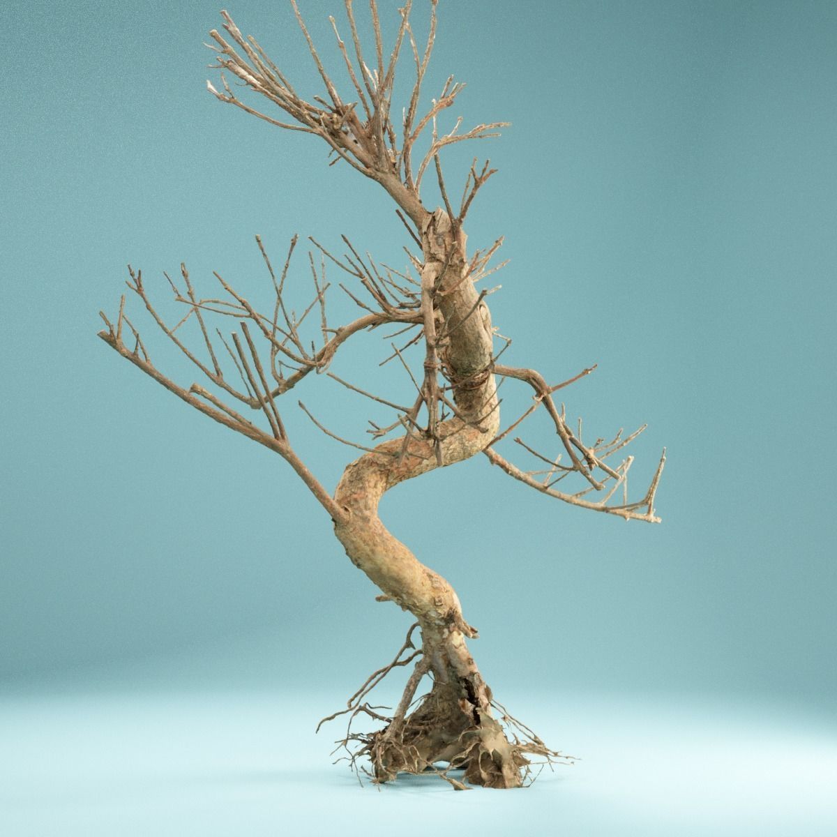 RAW SCAN Dead Bonsai Tree High Poly 08 3D model_8