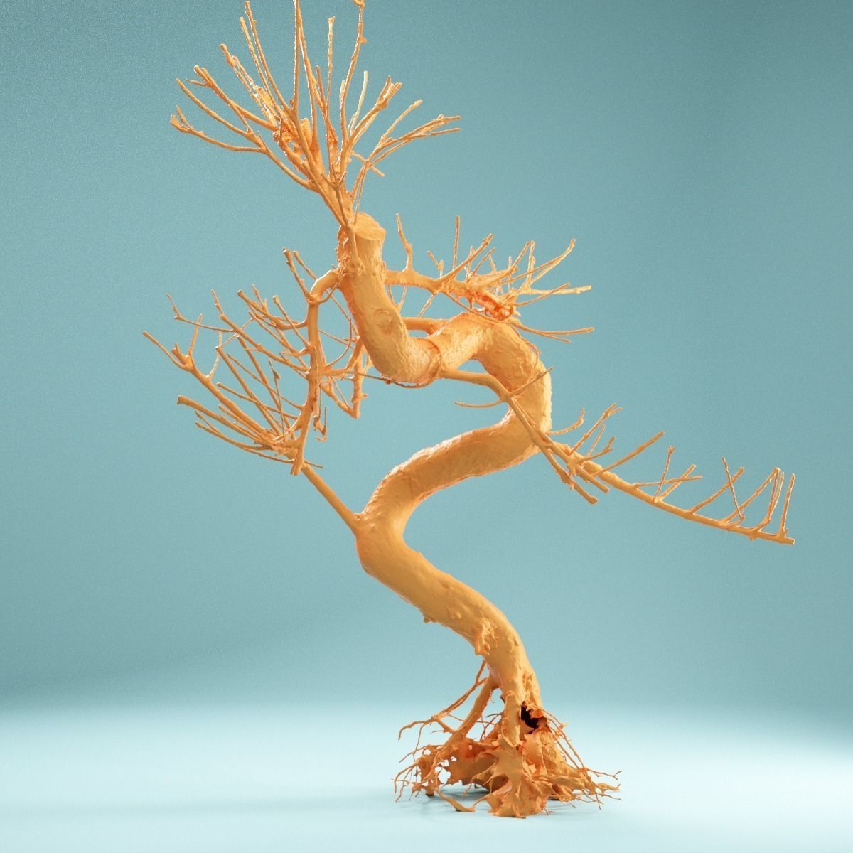RAW SCAN Dead Bonsai Tree High Poly 08 3D model_7