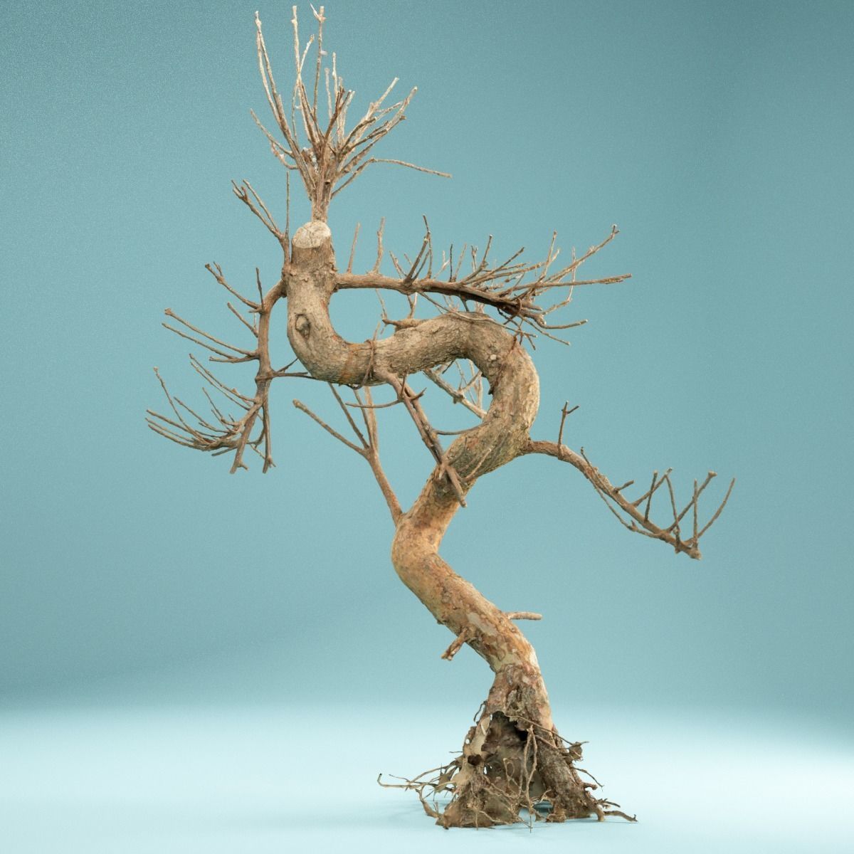 RAW SCAN Dead Bonsai Tree High Poly 08 3D model_5