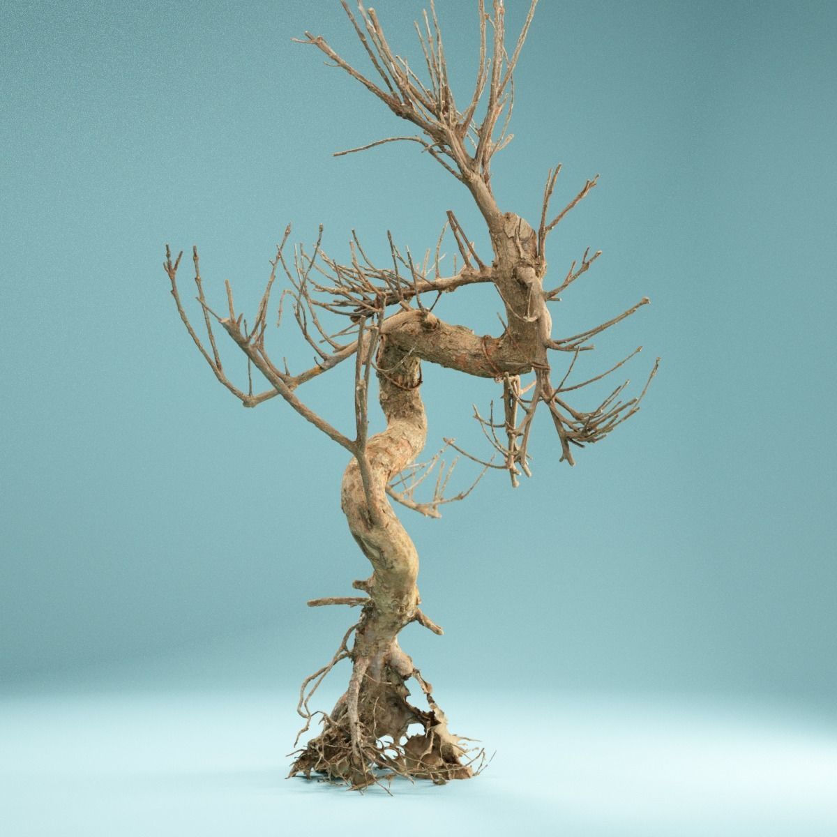 RAW SCAN Dead Bonsai Tree High Poly 08 3D model_9