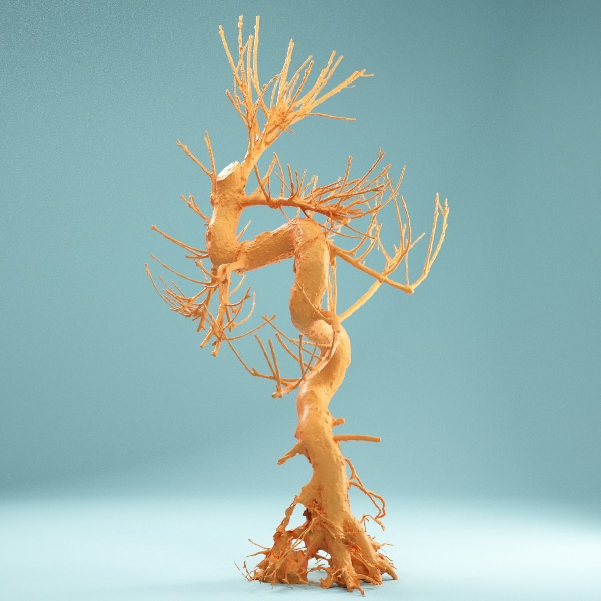 RAW SCAN Dead Bonsai Tree High Poly 08 3D model_4