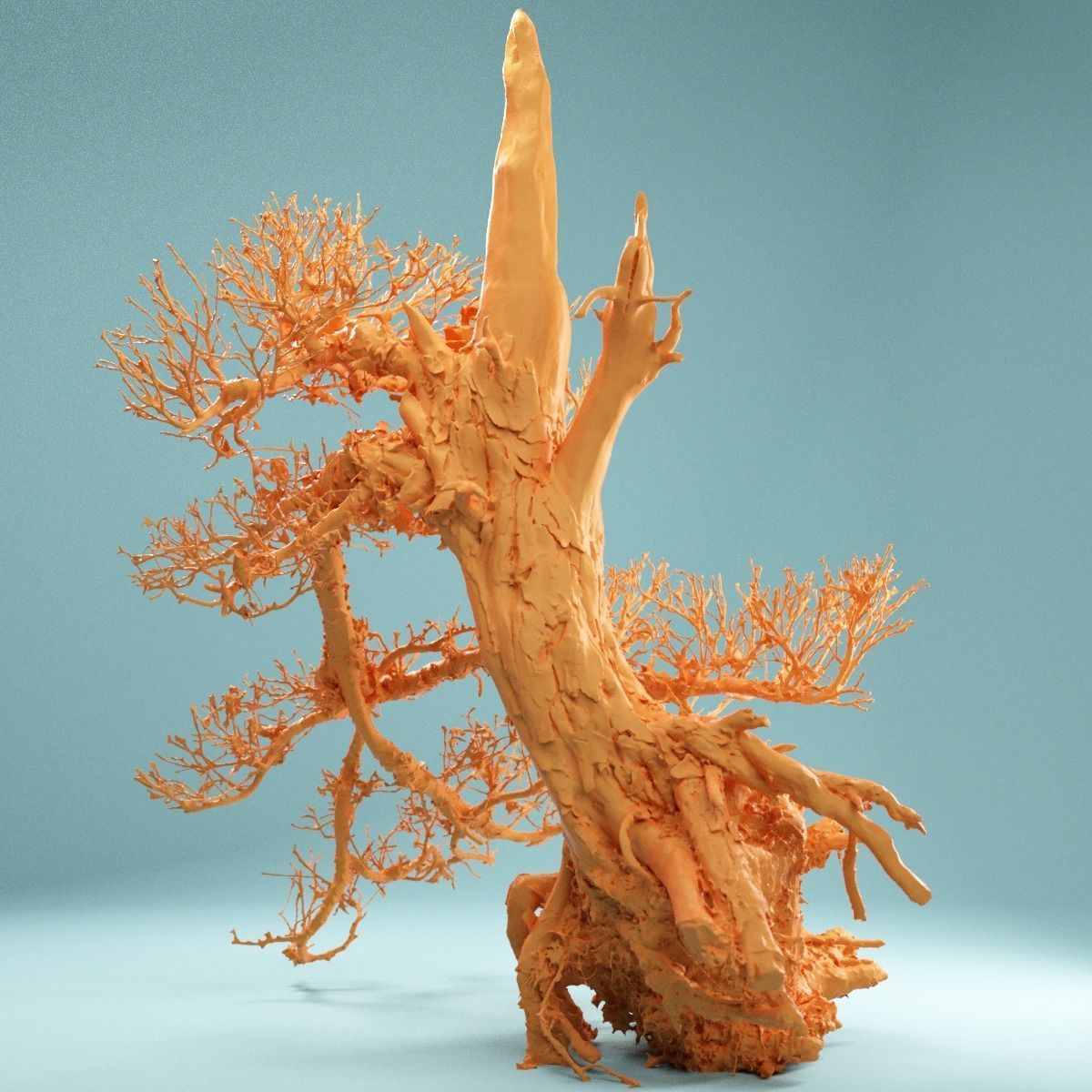 9 RAW SCAN Dead Bonsai Tree High Poly 3D Model Collection_8
