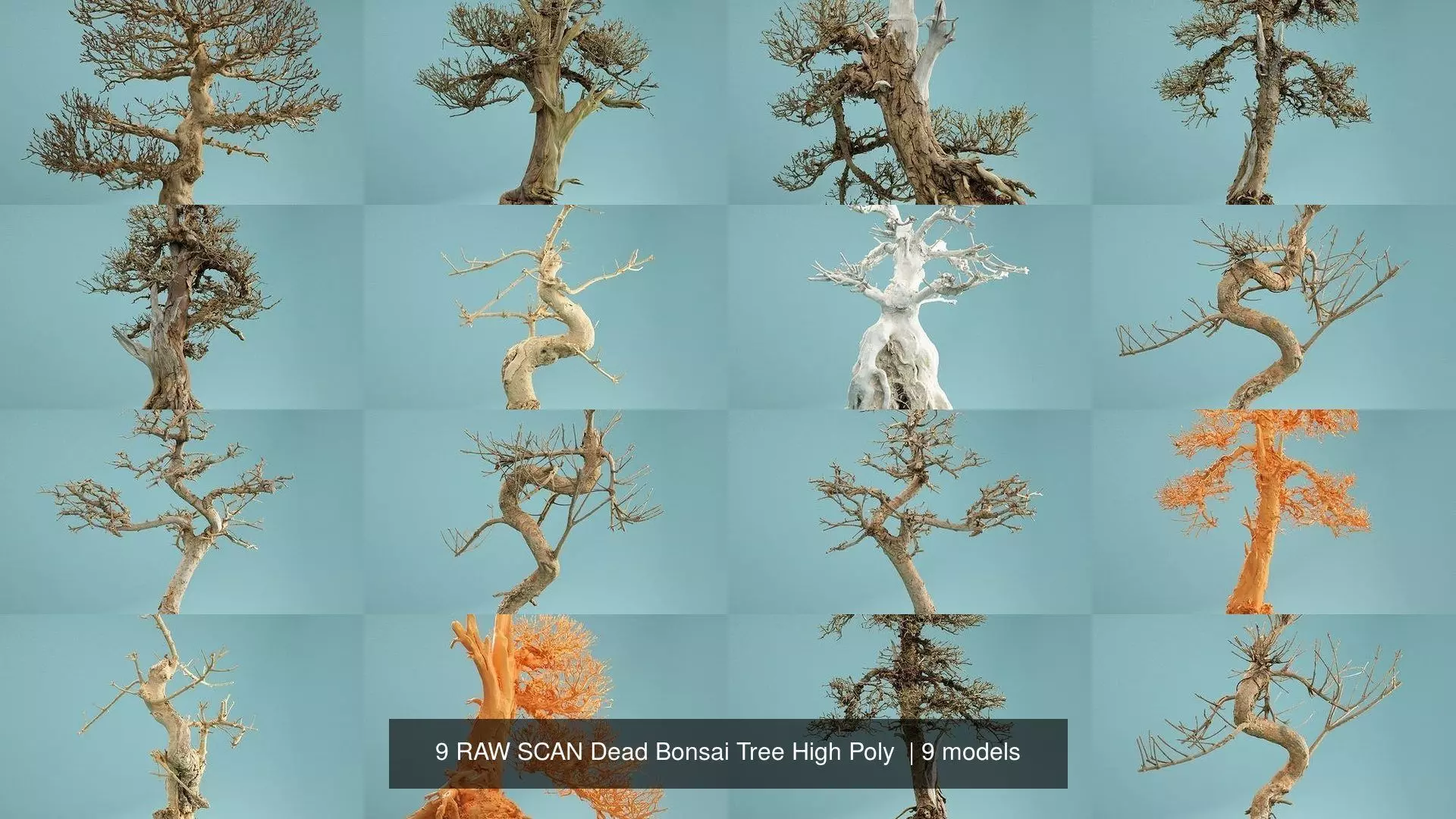 9 RAW SCAN Dead Bonsai Tree High Poly 3D Model Collection_1