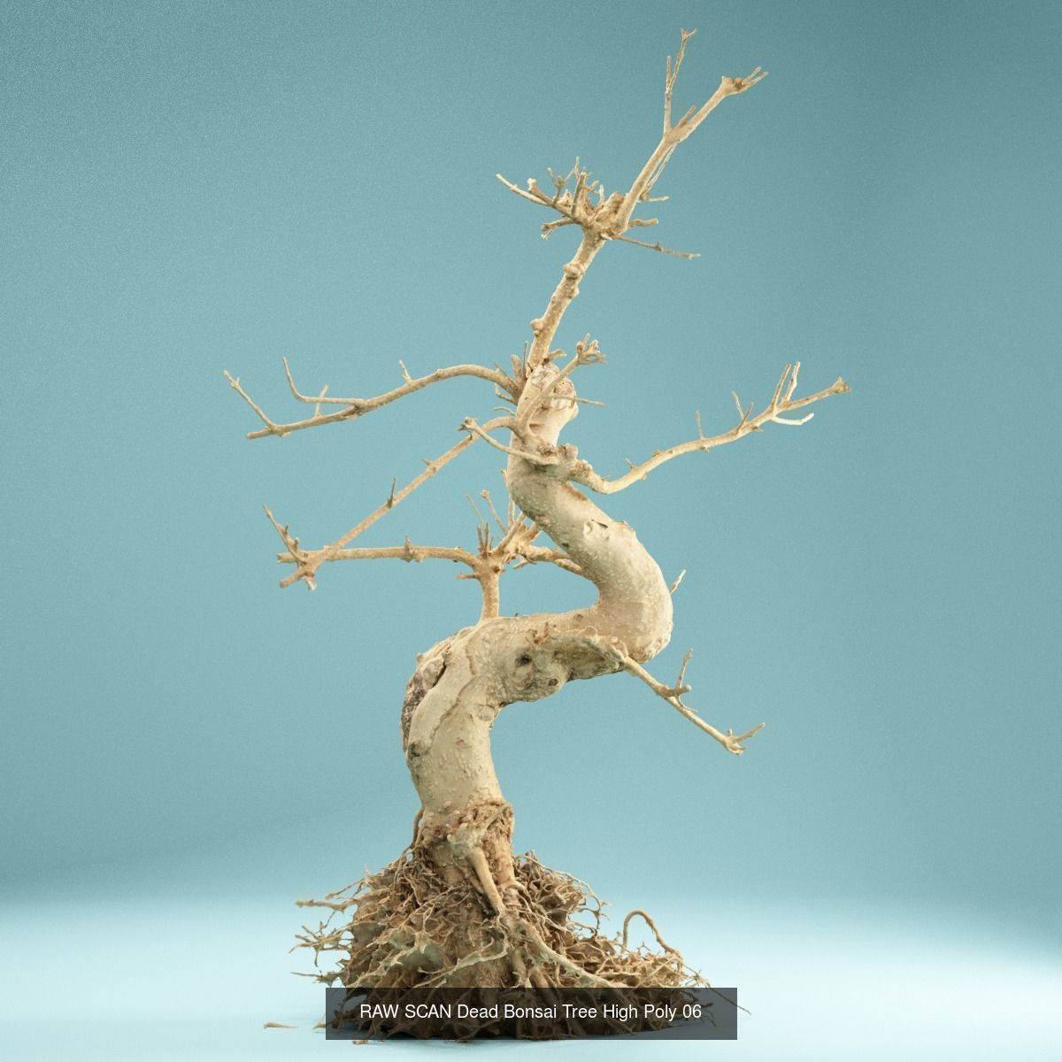9 RAW SCAN Dead Bonsai Tree High Poly 3D Model Collection_13