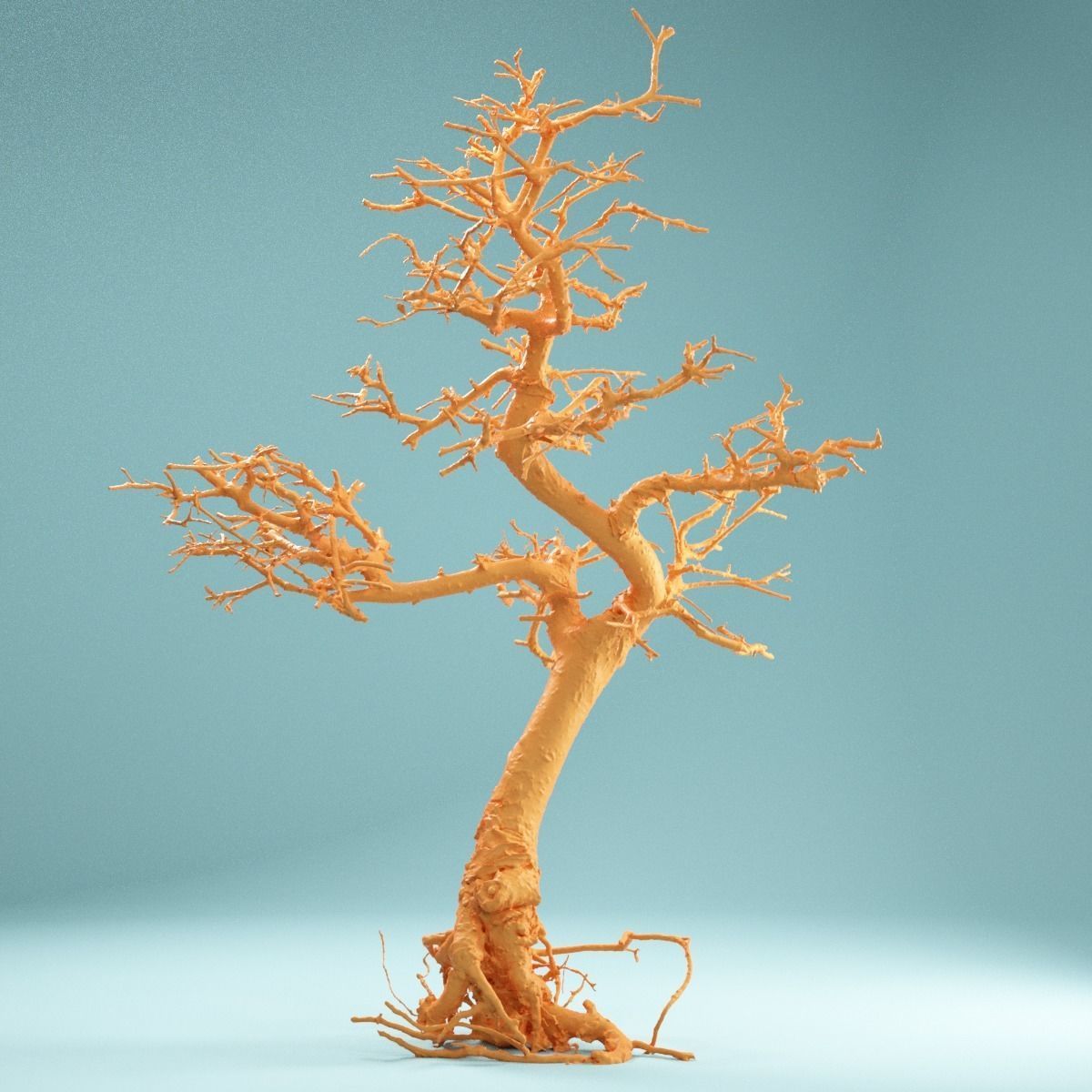 9 RAW SCAN Dead Bonsai Tree High Poly 3D Model Collection_20