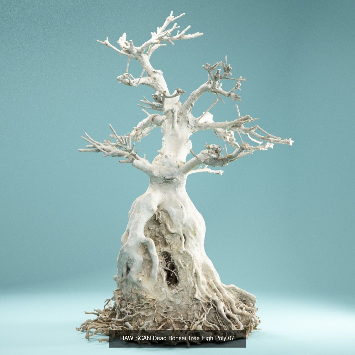 9 RAW SCAN Dead Bonsai Tree High Poly 3D Model Collection_15