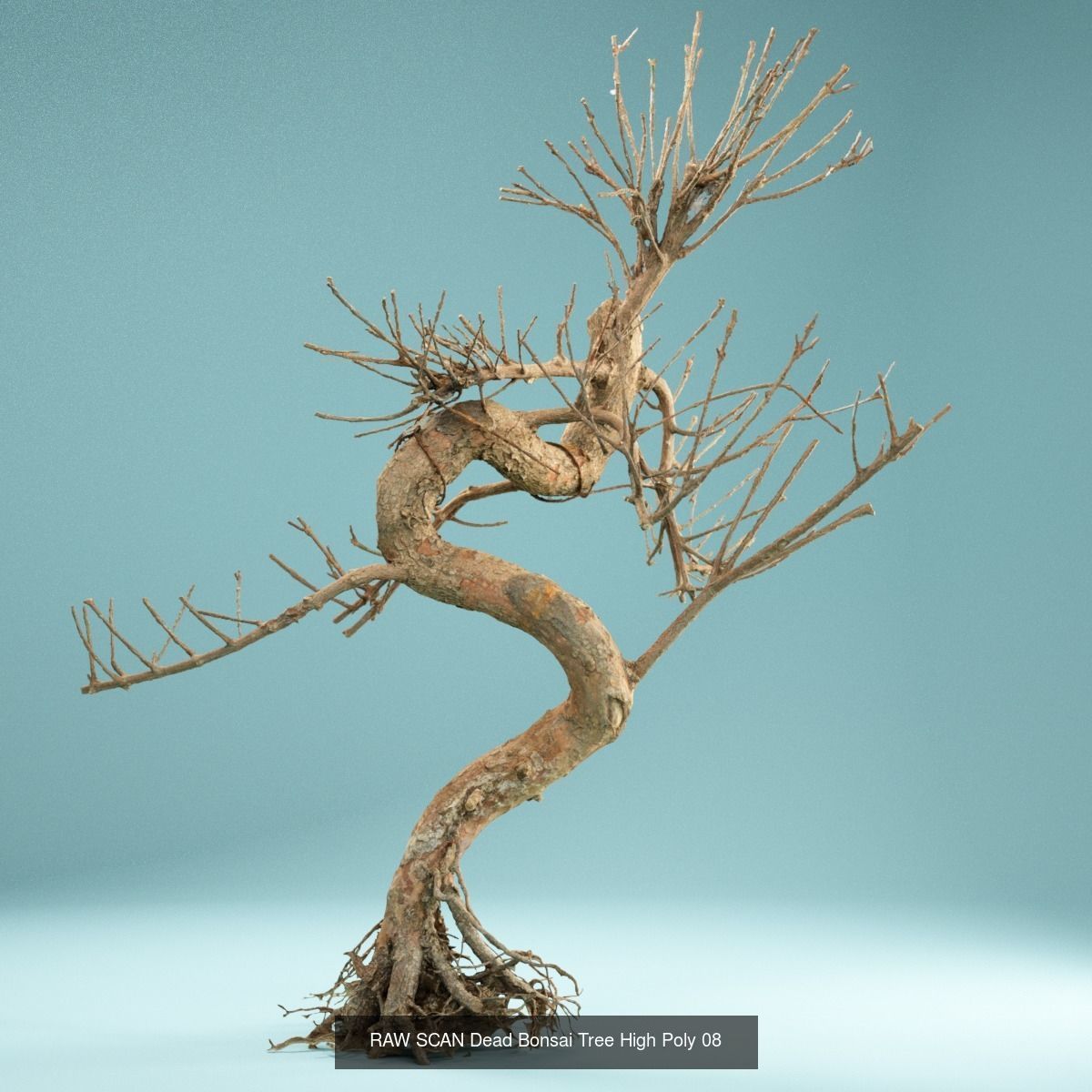 9 RAW SCAN Dead Bonsai Tree High Poly 3D Model Collection_17