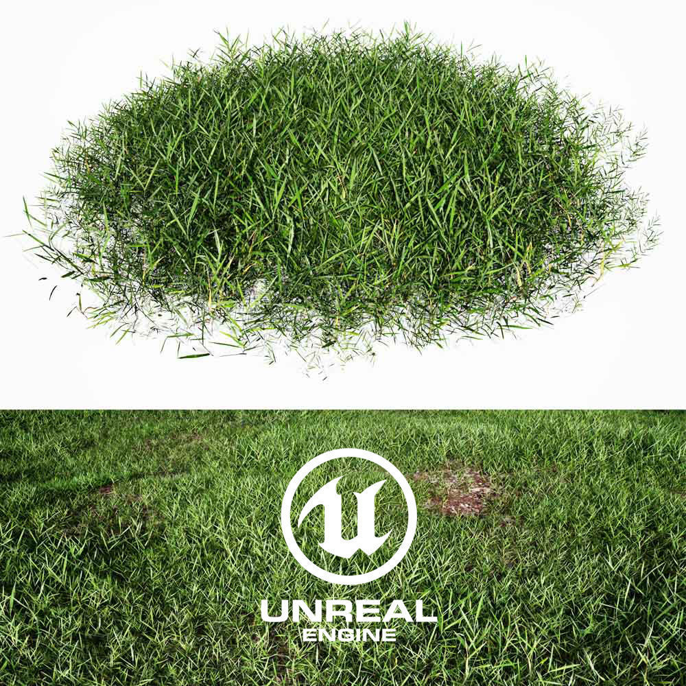 Realistic Grass 01 - UE4 Asset and FBX Files Low-poly 3D model_1