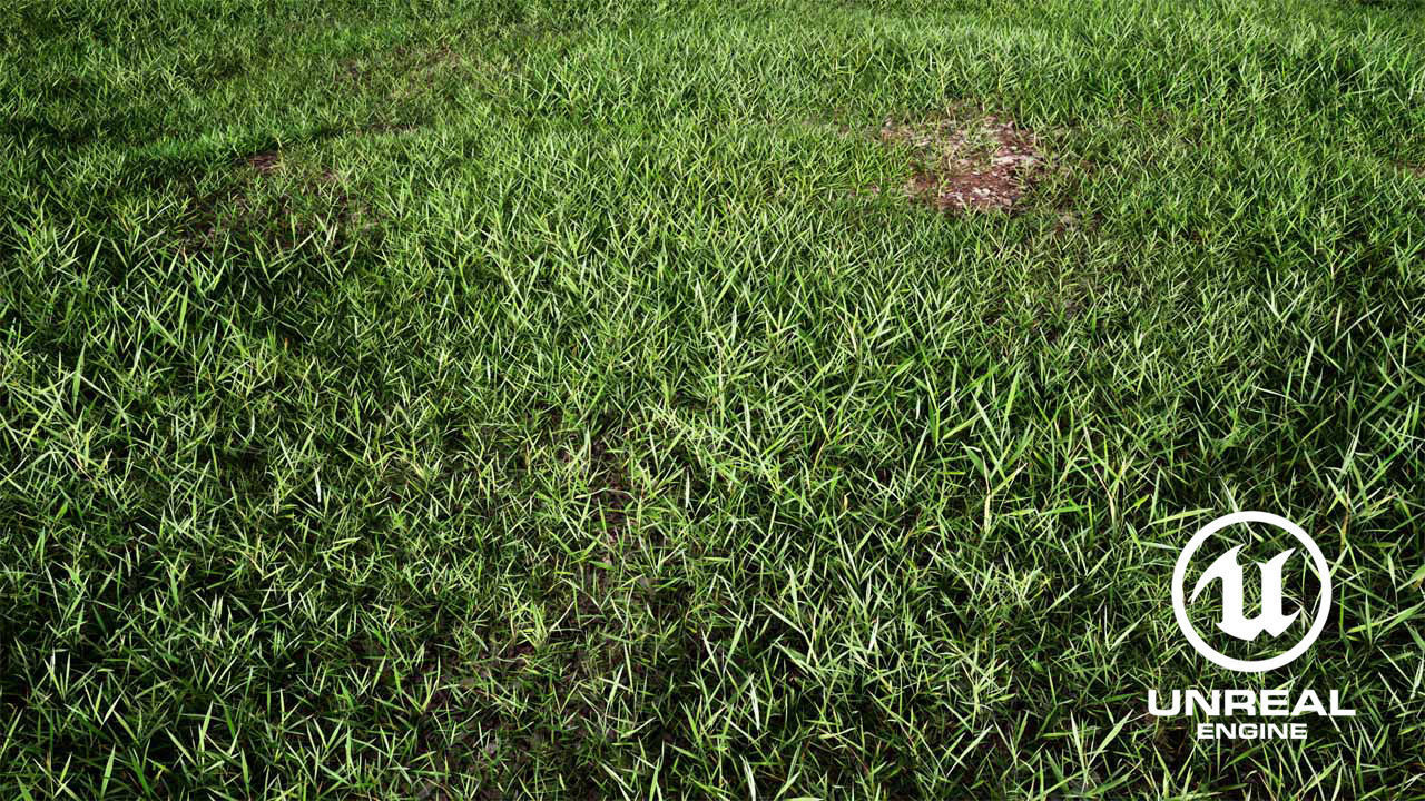 Realistic Grass 01 - UE4 Asset and FBX Files Low-poly 3D model_2