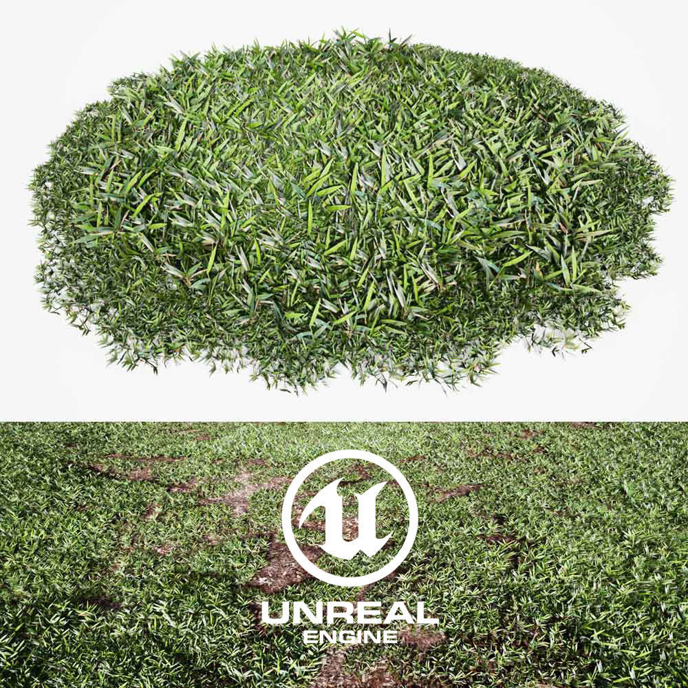 Realistic Grass 03 - UE4 Asset and FBX Files Low-poly 3D model_1