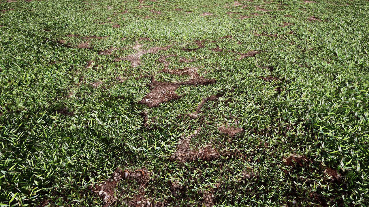 Realistic Grass 03 - UE4 Asset and FBX Files Low-poly 3D model_2