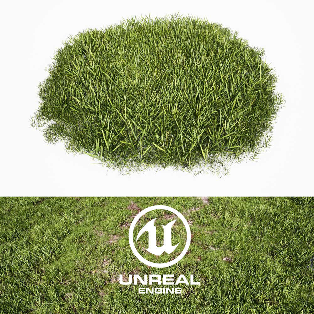 Realistic Grass 04 - UE4 Asset and FBX Files Low-poly 3D model_1