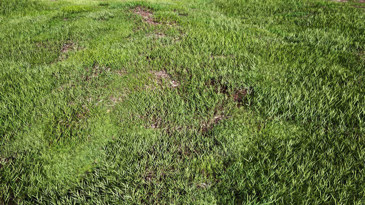 Realistic Grass 05 - UE4 Asset and FBX Files Low-poly 3D model_2