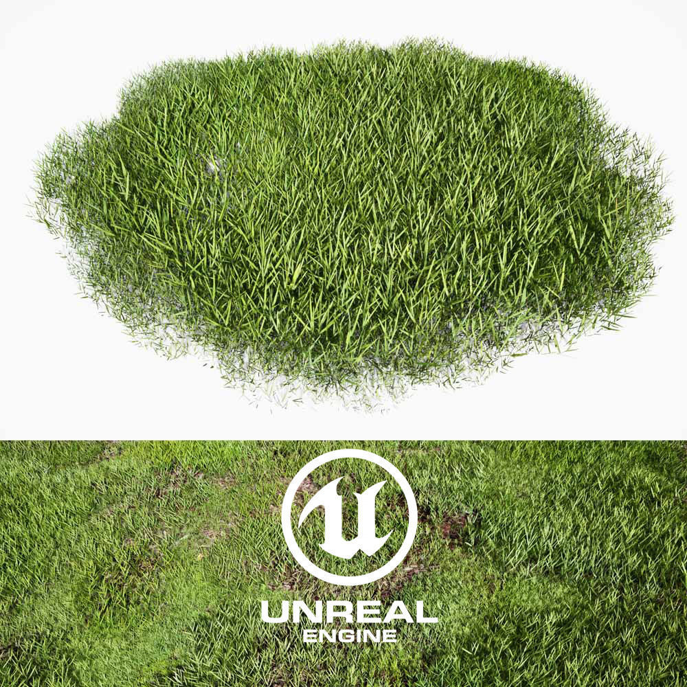 Realistic Grass 05 - UE4 Asset and FBX Files Low-poly 3D model_1